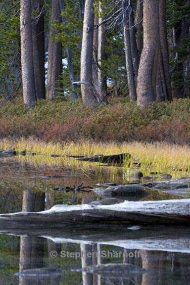 lakeshore reflections yosemite 7 graphic